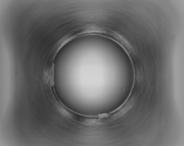 X0000110901369200906251329
