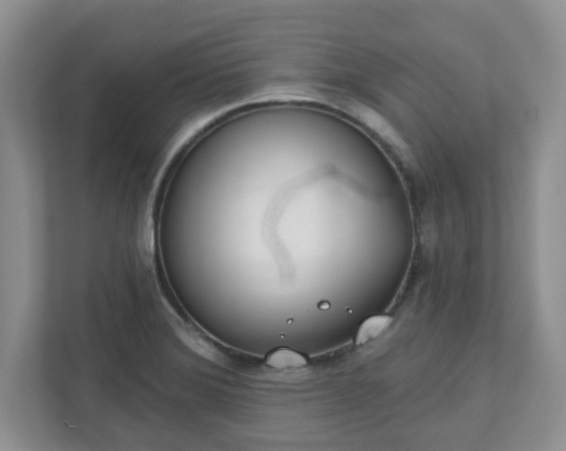 X0000110901372200906251329