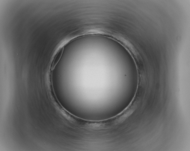 X0000110901373200906251329