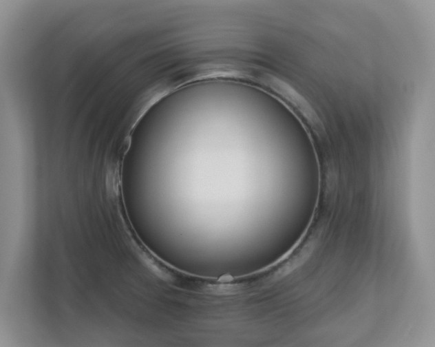 X0000110901377200906251329