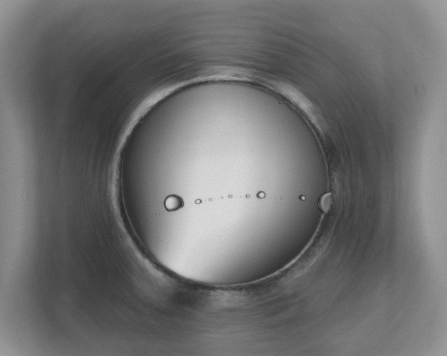 X0000110901379200906251329