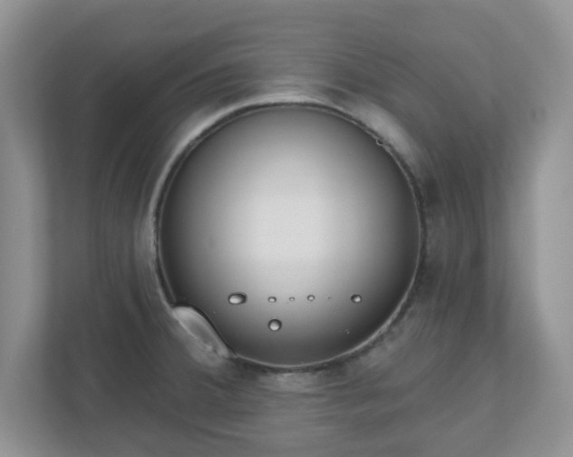 X0000110901380200906251329