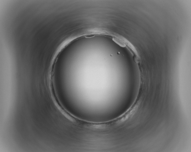 X0000110901381200906251329