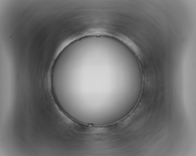 X0000110901382200906251329