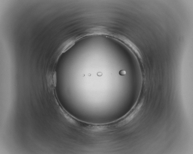 X0000110901385200906251329