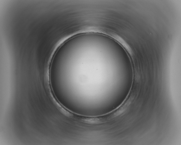X0000110901388200906251329