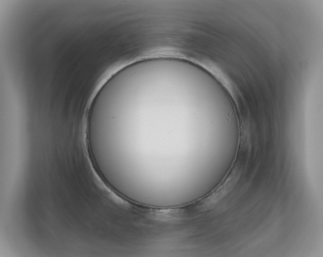 X0000110901390200906251329