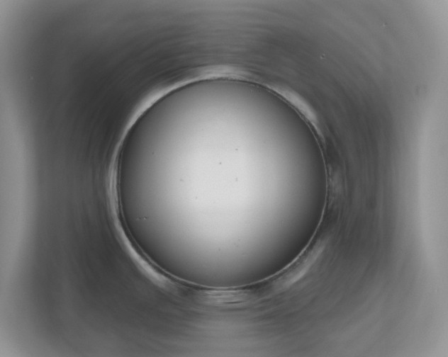 X0000110901391200906251329