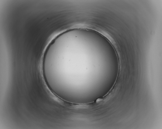X0000110901392200906251329