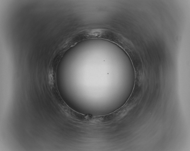 X0000110901394200906251328