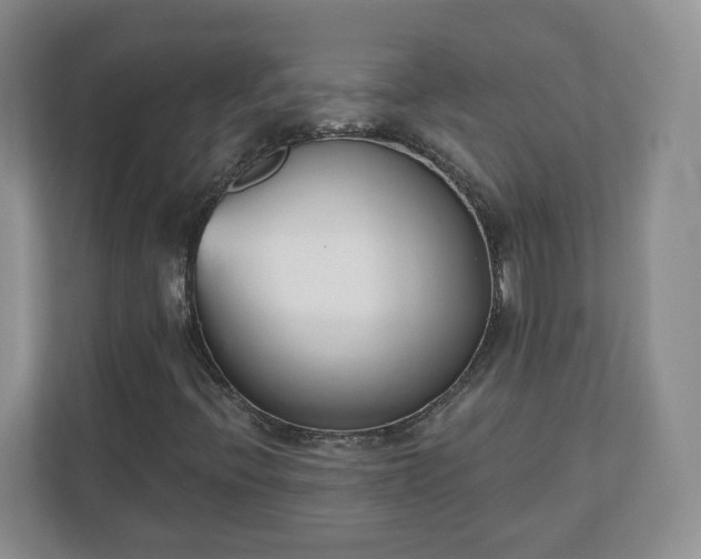 X0000110901396200906251328