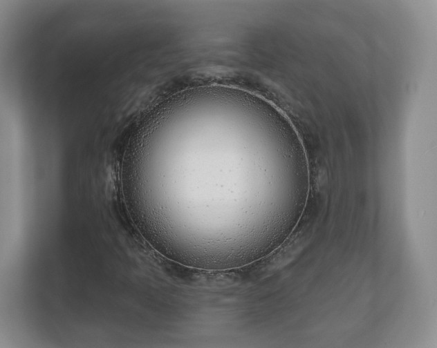 X0000110901397200906251328