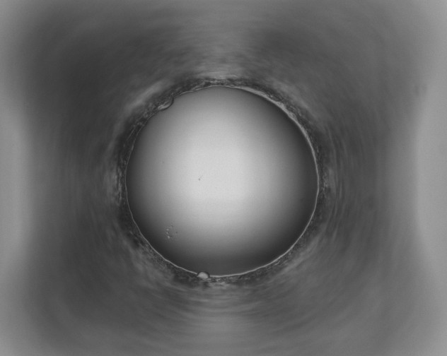X0000110901398200906251328