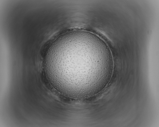 X0000110901399200906251328