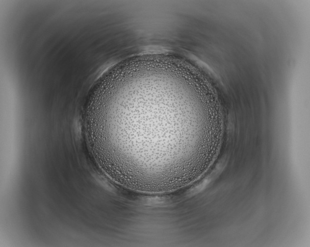 X0000110901401200906251328
