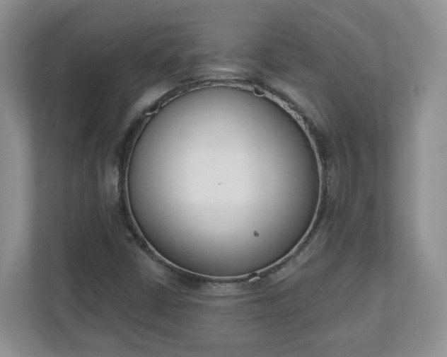 X0000110901402200906251328