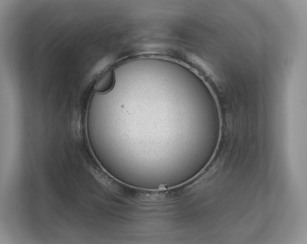 X0000110901403200906251328