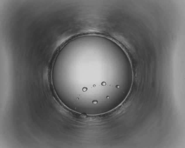 X0000110901404200906251328