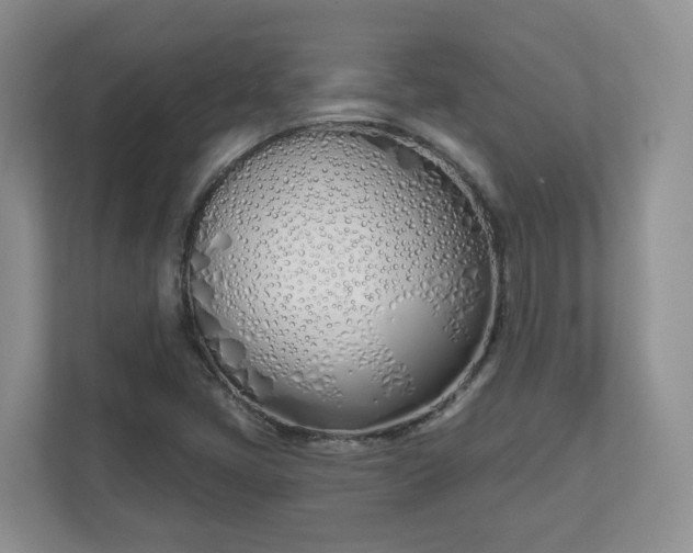 X0000110901405200906251328