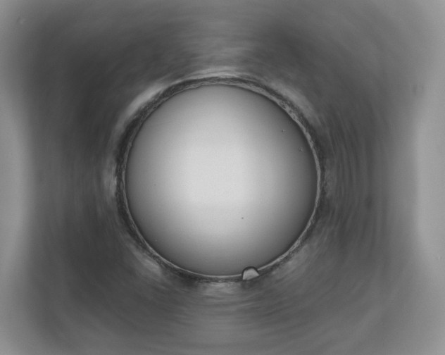 X0000110901406200906251328