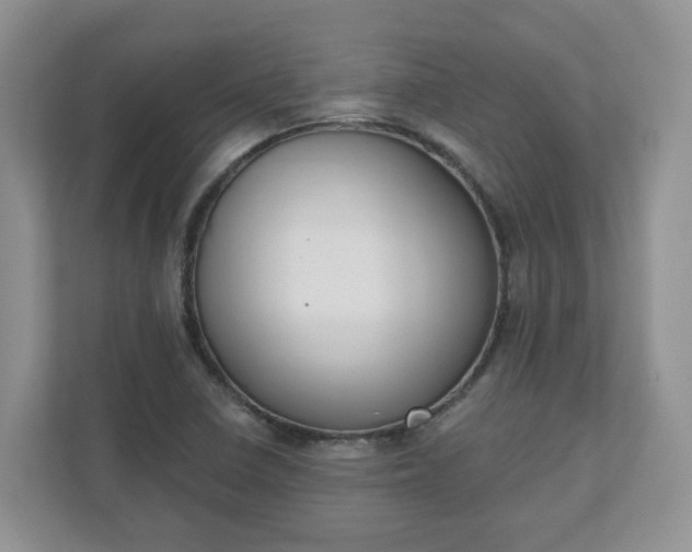 X0000110901410200906251328