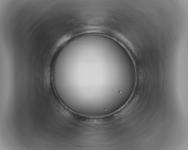X0000110901411200906251328