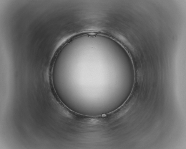 X0000110901412200906251328