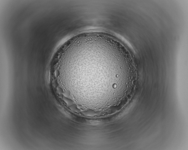X0000110901413200906251328