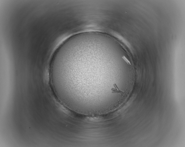 X0000110901415200906251328