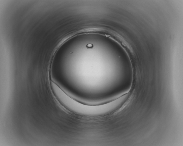 X0000110901417200906251328