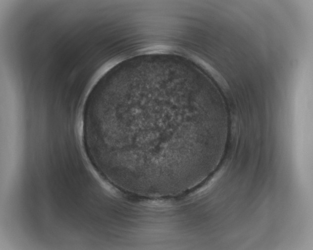 X0000110901418200906251328