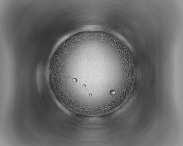 X0000110901421200906251328