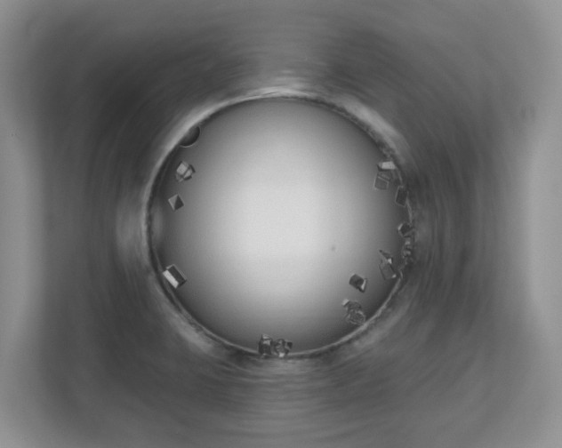 X0000110901423200906251328