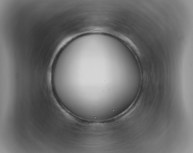 X0000110901424200906251328