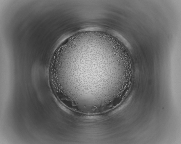 X0000110901425200906251328