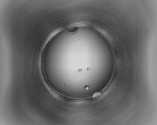 X0000110901426200906251328