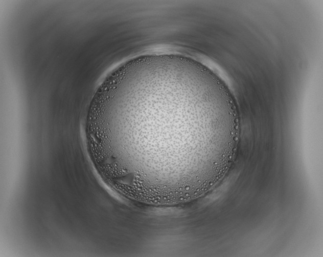X0000110901429200906251328