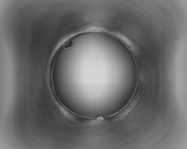 X0000110901430200906251328