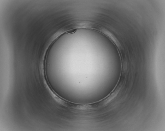 X0000110901434200906251328