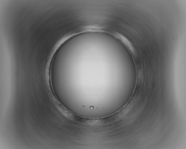 X0000110901435200906251328