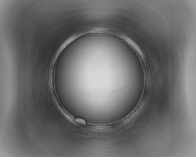 X0000110901437200906251329