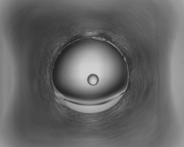 X0000110901441200906251328