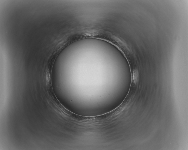 X0000110901444200906251328