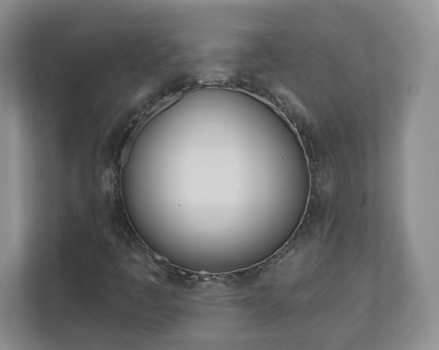 X0000110901445200906251328