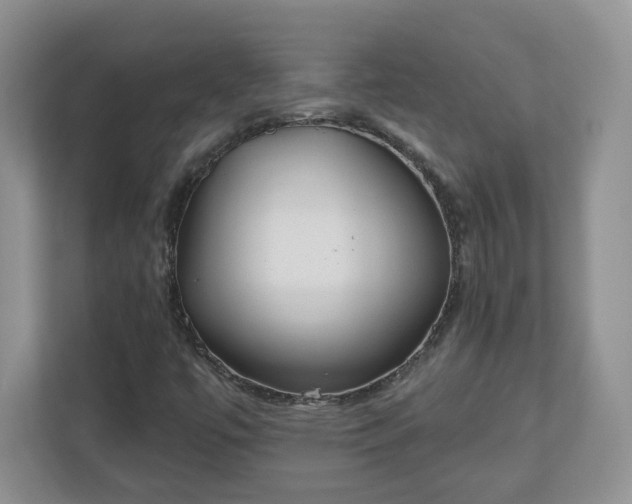X0000110901447200906251328