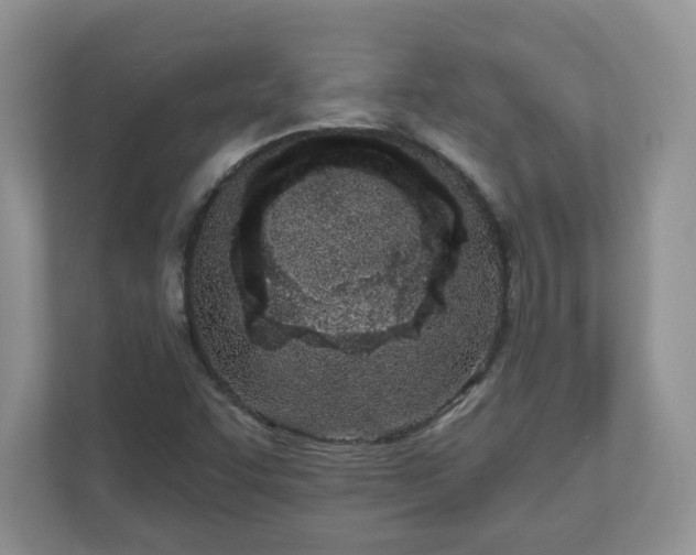 X0000110901455200906251328