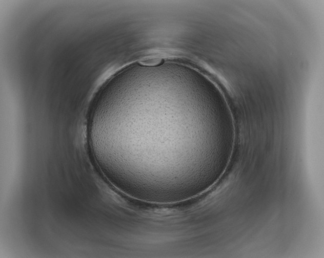 X0000110901459200906251328