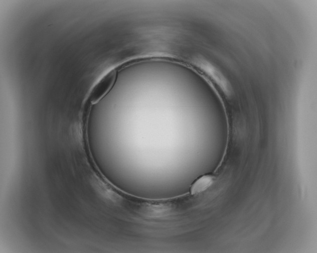 X0000110901460200906251328