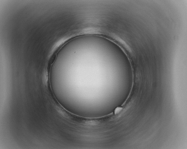 X0000110901461200906251328