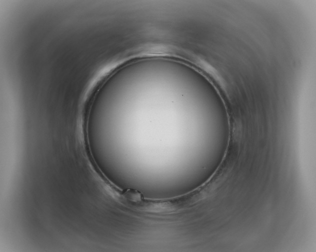 X0000110901464200906251328